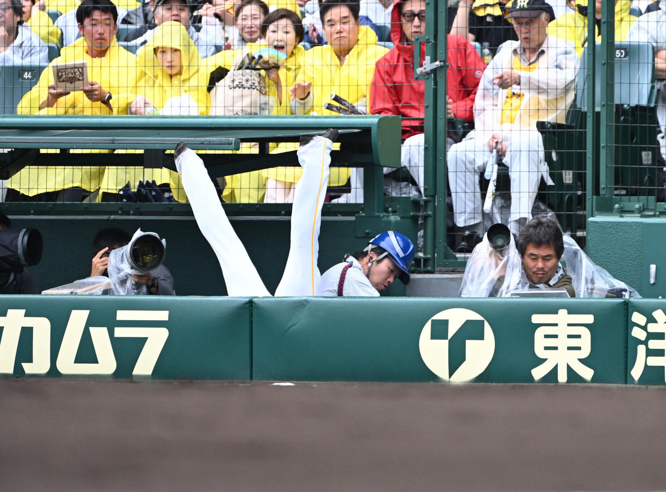 阪神対西武　3回表西武2死一塁、奥村の打球を追って一塁カメラマン席に落下する一塁手渡辺（撮影・和賀正仁）