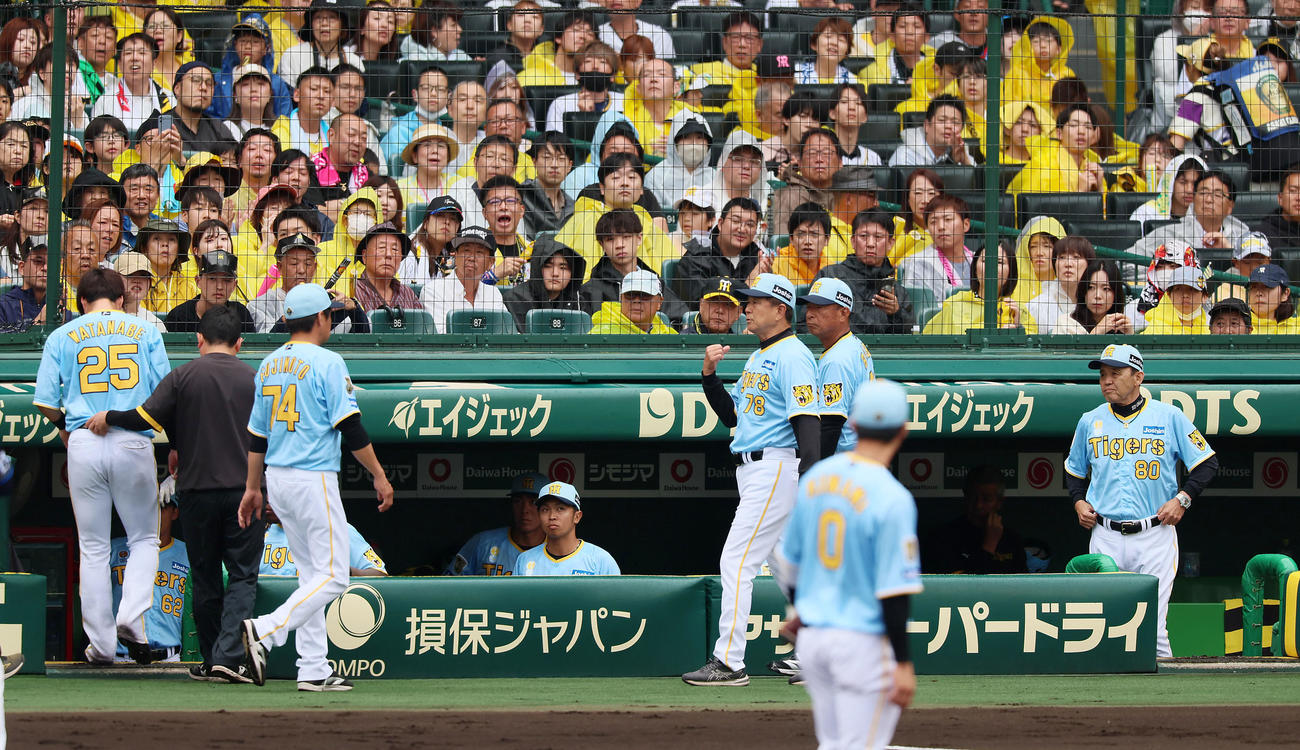 阪神対西武　3回表西武2死一塁、奥村の邪飛を追って一塁側カメラマン席へ転落したが自力で歩いてベンチへ引き揚げる渡辺（左）の姿をじっと見守る岡田監督（撮影・加藤哉）