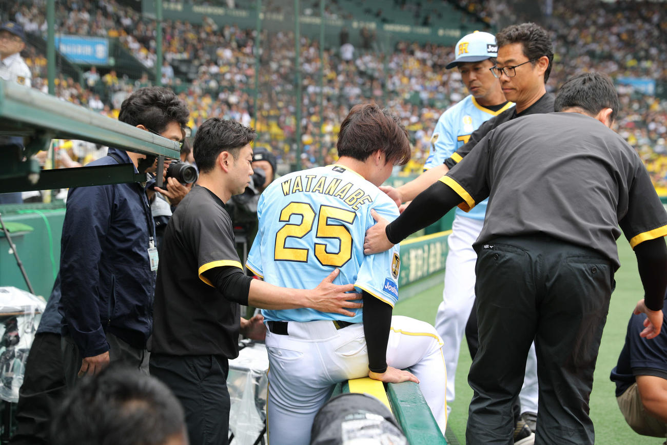 阪神対西武　4回表西武2死一塁、奥村光一の飛球を追った一塁手渡辺はカメラ席に落ち、途中交代となる（撮影・西尾就之）