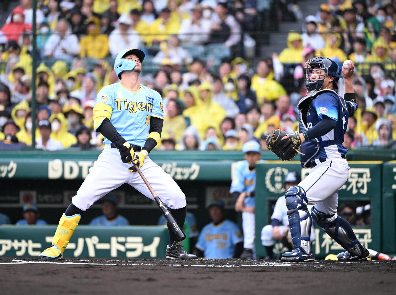 阪神対西武　2回裏阪神無死、空振り三振する佐藤輝（撮影・和賀正仁）
