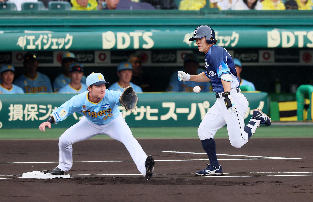 阪神対西武　1回表西武無死、奥村は遊ゴロに終わる。。一塁手は渡辺（撮影・加藤哉）