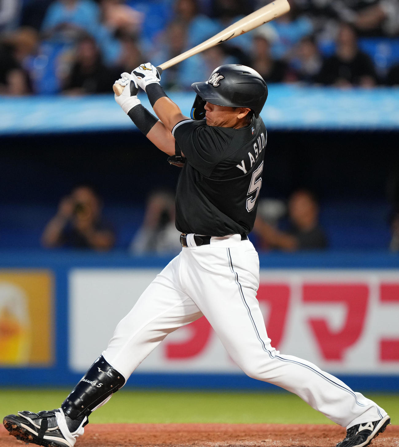 ロッテ安田尚憲（2024年5月29日撮影）
