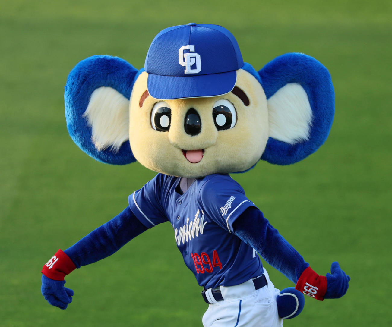 ドアラ（2024年4月撮影）