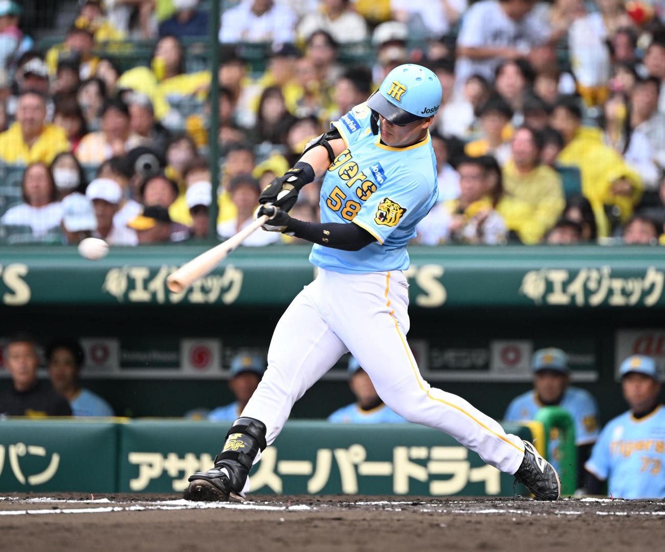 阪神前川右京（2024年6月9日撮影）