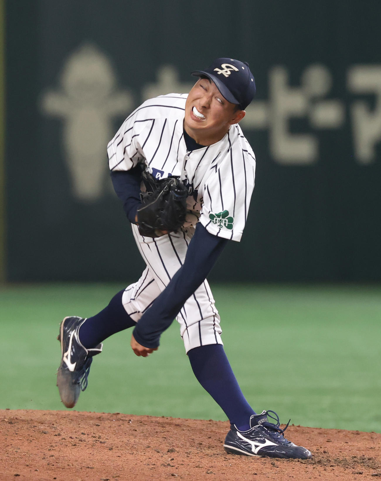 星槎道都大対仙台大　先発した仙台大・渡辺一（撮影・柴田隆二）