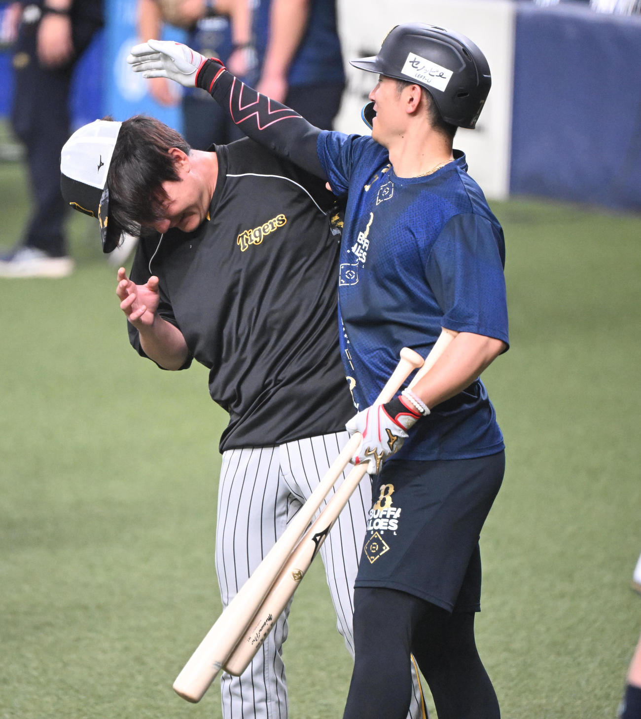 オリックス西川（右）から甲子園のカメラマン席に落ち痛めた頭部をさわられ、はたかれる阪神渡辺（撮影・和賀正仁）