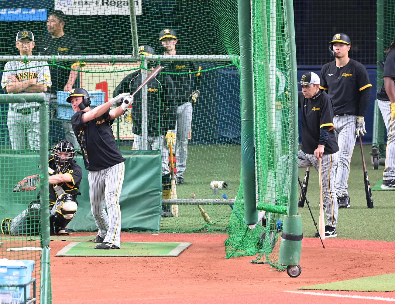 オリックス対阪神　岡田監督（右）が見守る中、打撃練習を行う渡辺（撮影・前岡正明）