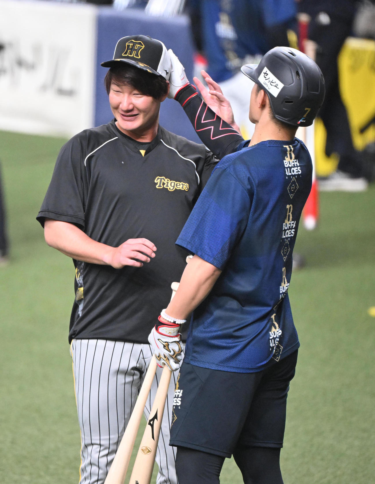 オリックス西川（右）から甲子園のカメラマン席に落ち痛めた頭部をさわられる阪神渡辺（撮影・和賀正仁）