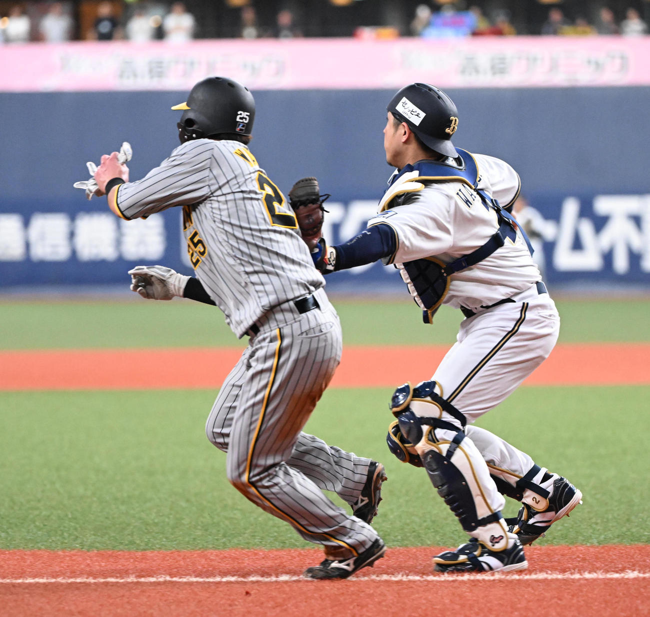 オリックス対阪神　2回表阪神1死一、三塁、木浪の一ゴロで本塁を狙った渡辺は若月（右）にタッチされる（撮影・和賀正仁）