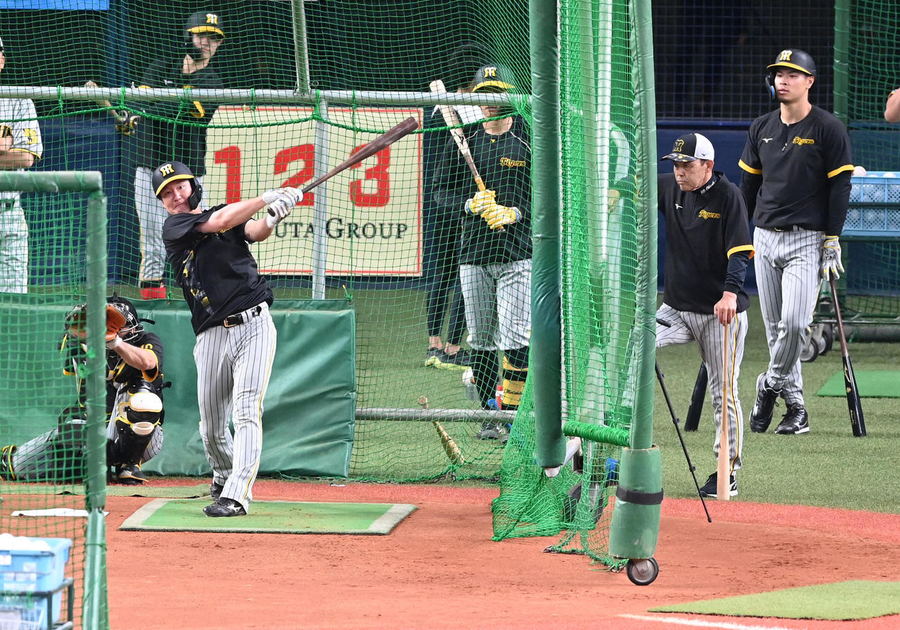 オリックス対阪神　岡田監督（右）が見守る中、打撃練習を行う渡辺（撮影・前岡正明）