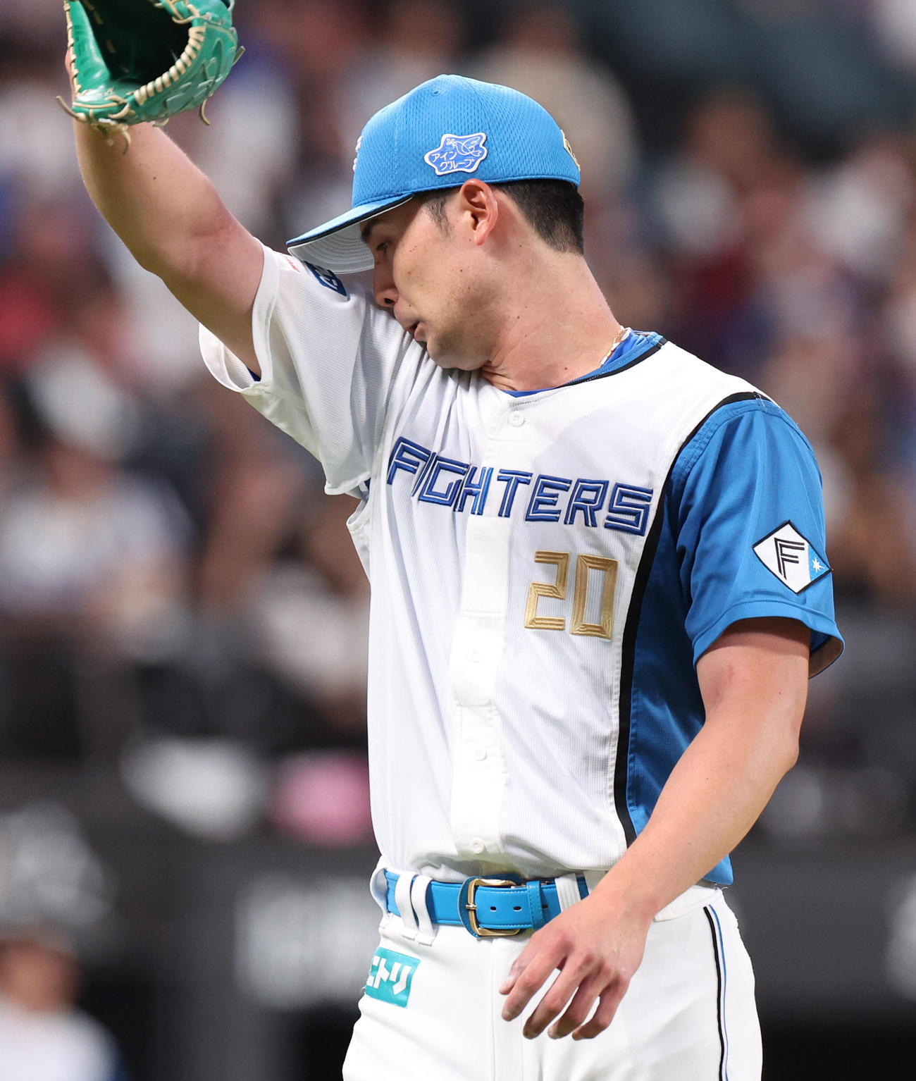 日本ハム対中日　7回表、汗を拭いながらベンチに戻る上原（撮影・佐藤翔太）