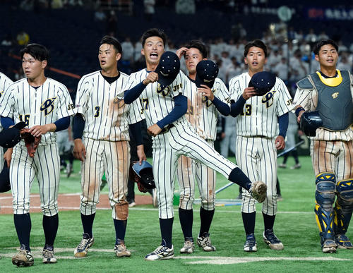 上武大対佛教大 佛教大に勝利し喜ぶ上武大ナイン(撮影・たえ見朱実)