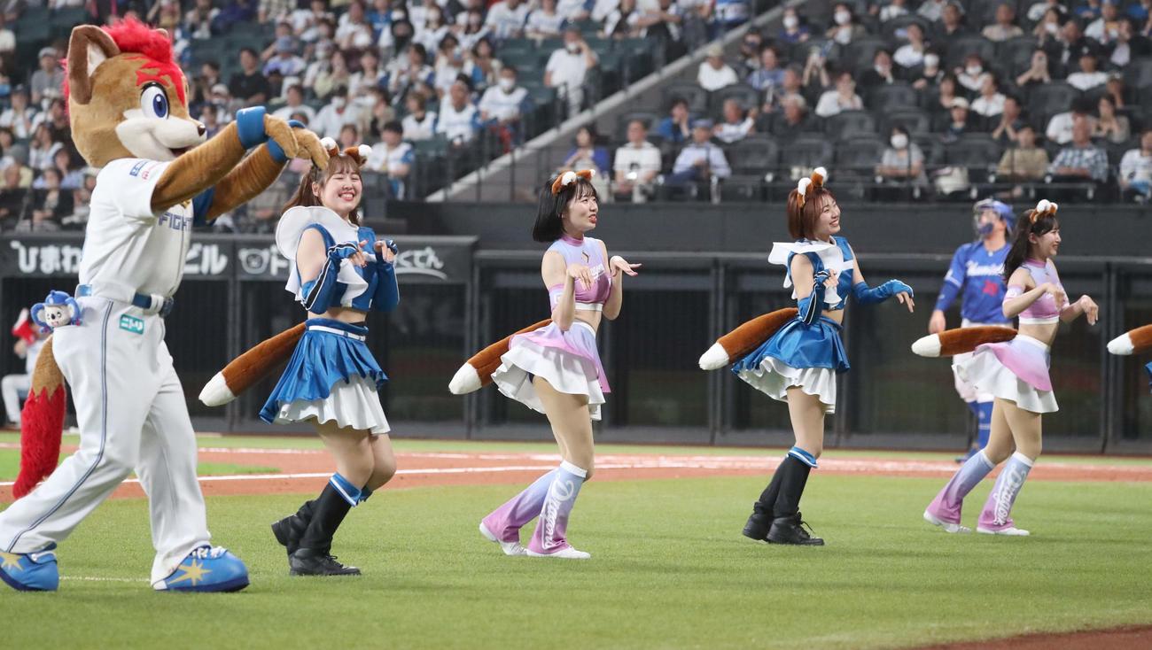 日本ハム対中日　きつねダンスを踊るチアドラゴンズ（撮影・黒川智章）