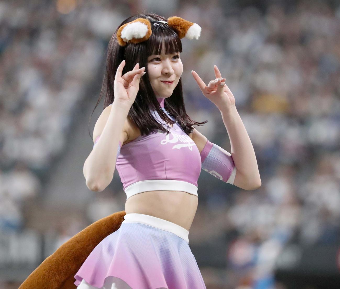 日本ハム対中日　きつねダンスを踊るチアドラゴンズ（撮影・黒川智章）