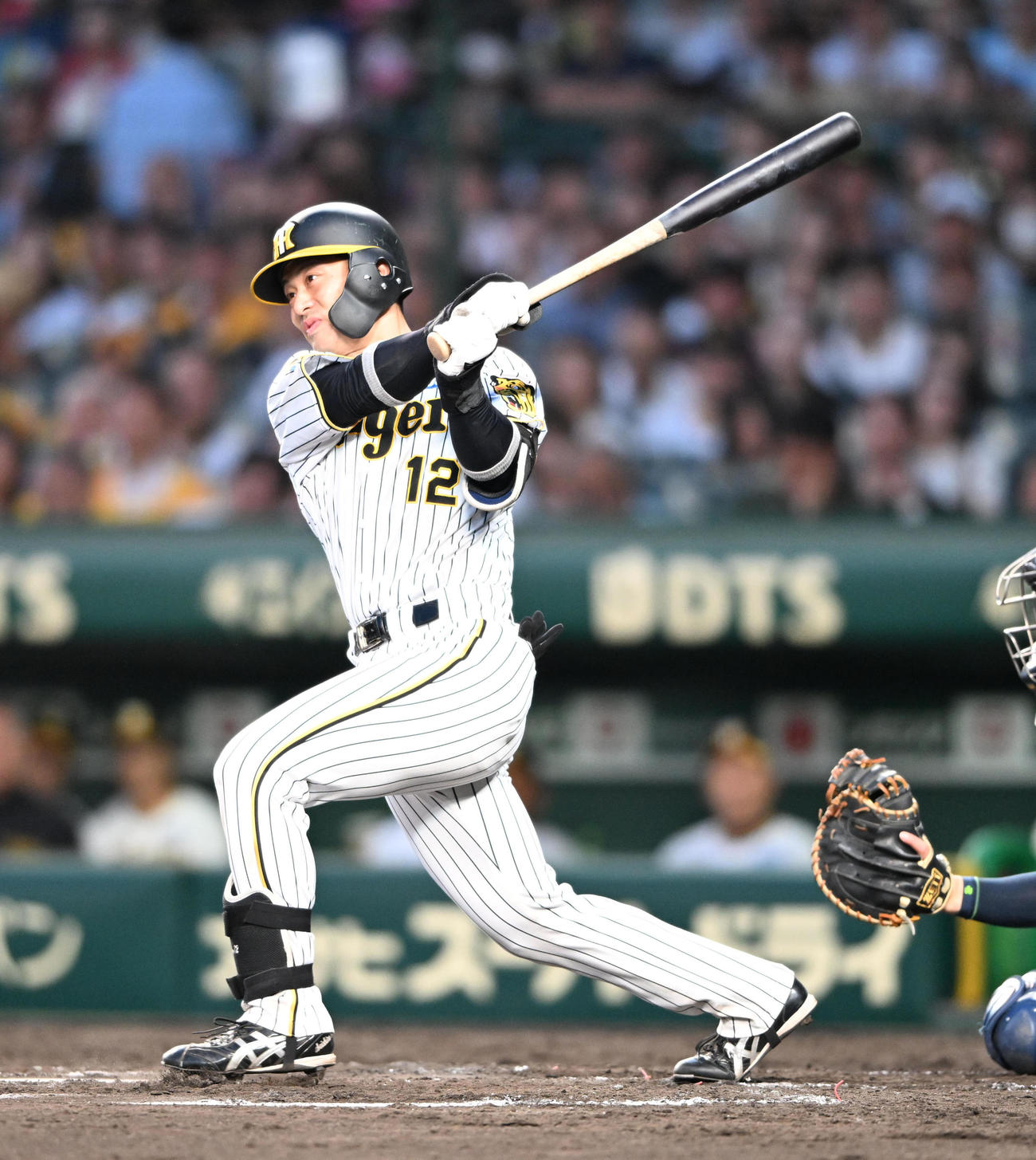 阪神坂本誠志郎