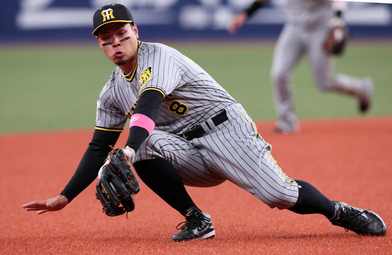 オリックス対阪神　2回裏オリックス1死一塁、佐藤輝はセデーニョの打球を捕球し併殺とする（撮影・加藤哉）