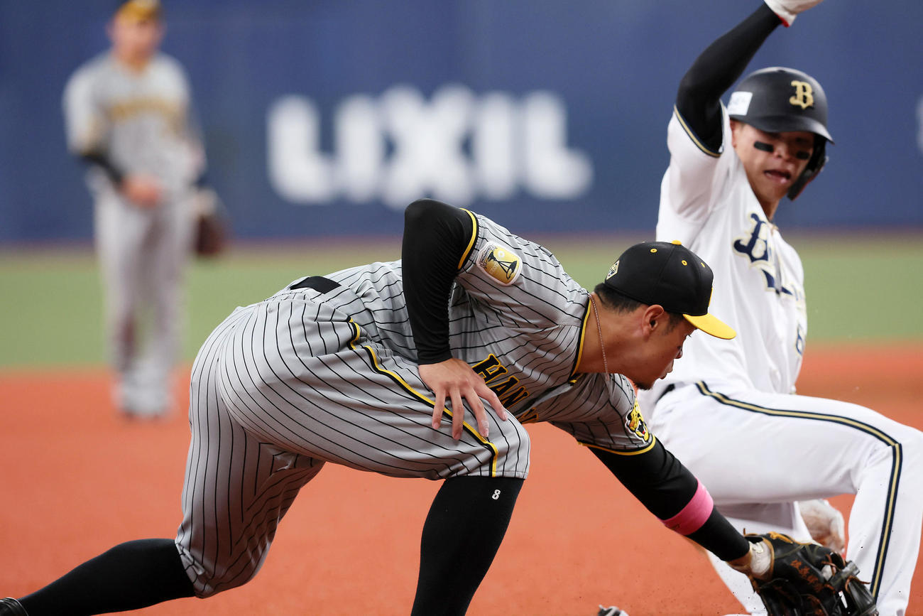 オリックス対阪神　4回裏オリックス1死二塁、佐藤輝は太田の遊ゴロを木浪から受け二塁走者中川にタッチしアウトを奪う（撮影・加藤哉）
