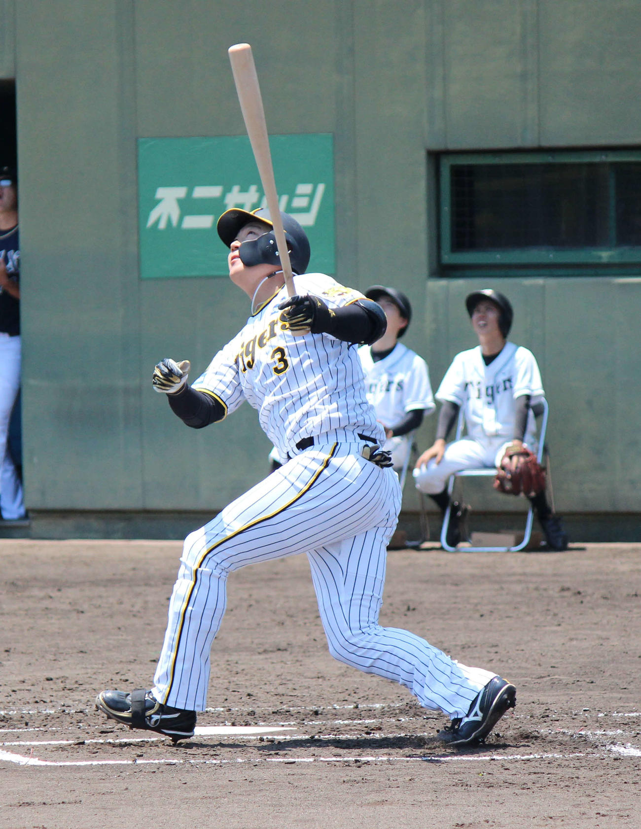 ウエスタン・リーグ、オリックス戦の2回、左飛に倒れる阪神大山（撮影・柏原誠）