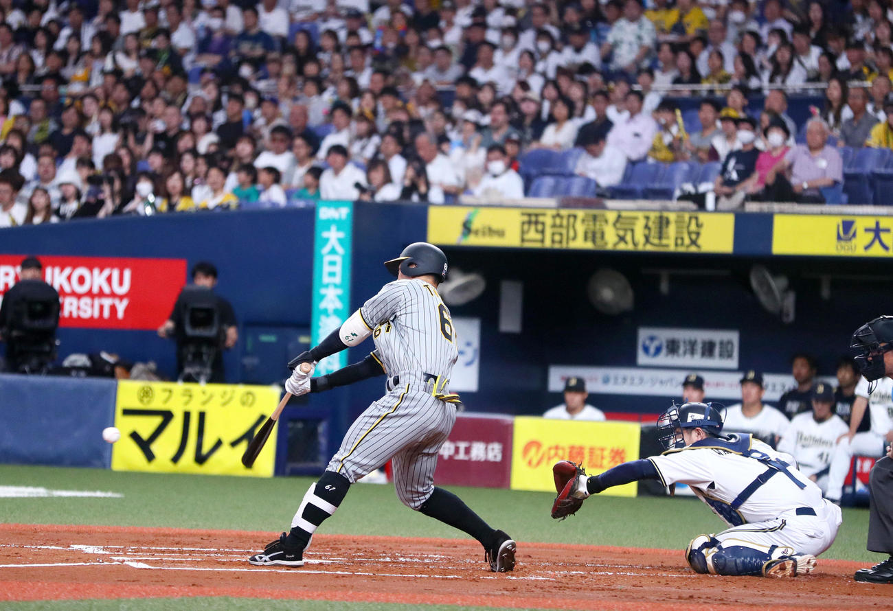 オリックス対阪神　2回表阪神2死一塁、豊田（左）は右前打を放つ（撮影・上山淳一）