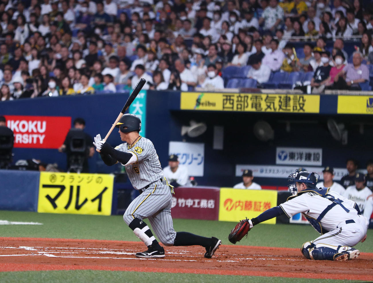 オリックス対阪神　2回表阪神2死一塁、豊田（左）は右前打を放つ（撮影・上山淳一）
