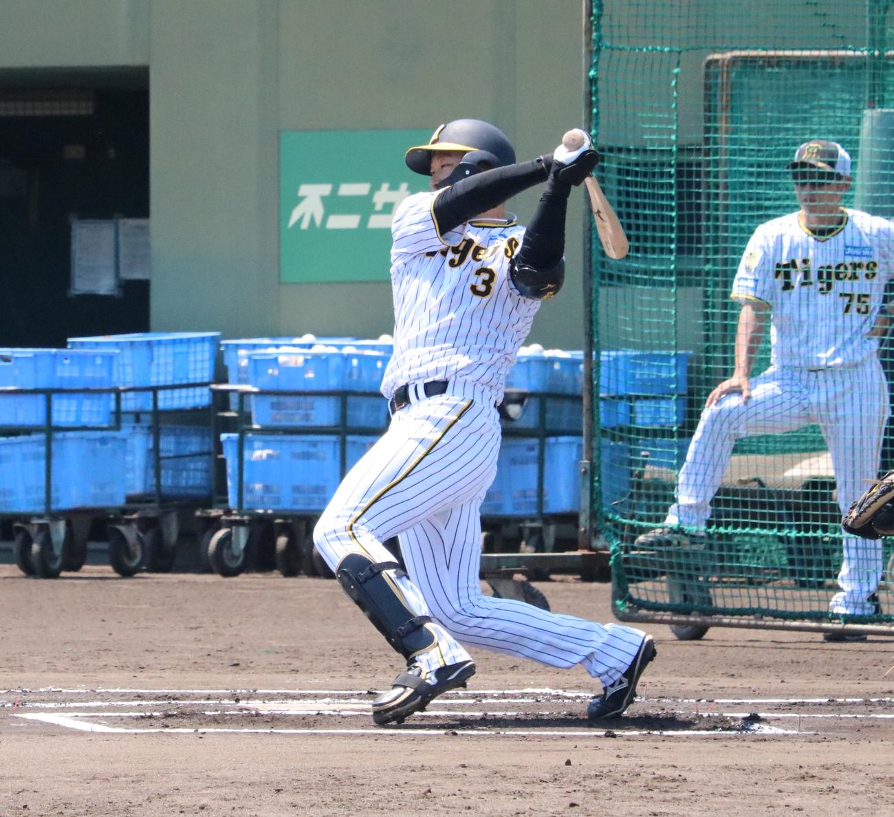 阪神の大山悠輔内野手がシート打撃で左前打を放つ（撮影・林亮佑）＝2024年6月14日、鳴尾浜球場
