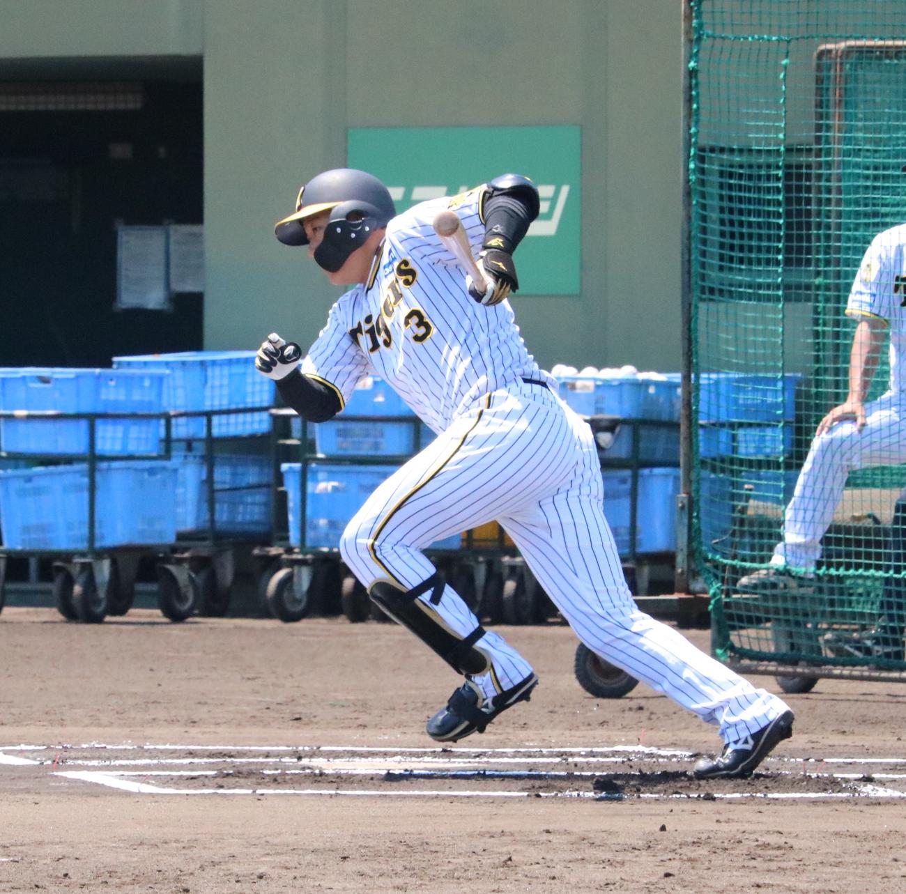阪神の大山悠輔内野手がシート打撃で左前打を放つ（撮影・林亮佑）＝2024年6月14日、鳴尾浜球場