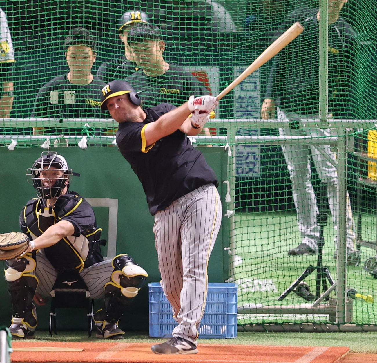 ソフトバンク対阪神　チームに合流したノイジーは打撃練習を行う（撮影・梅根麻紀）