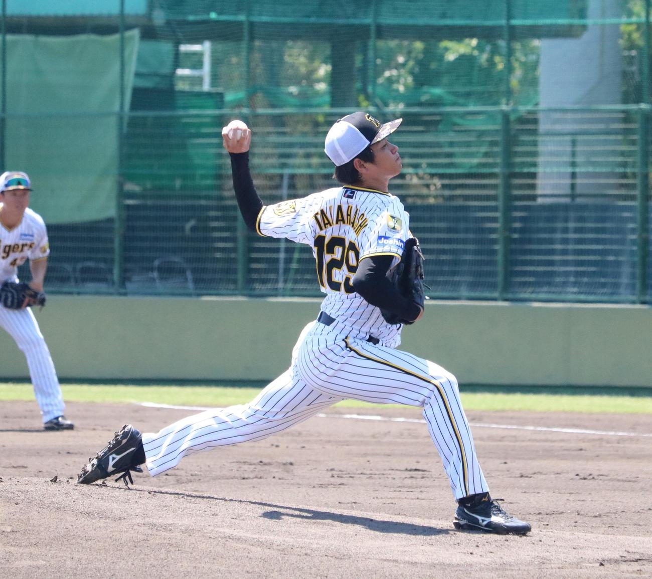 阪神の高橋遥人投手がシート打撃に登板する（撮影・林亮佑）＝2024年6月14日、鳴尾浜球場
