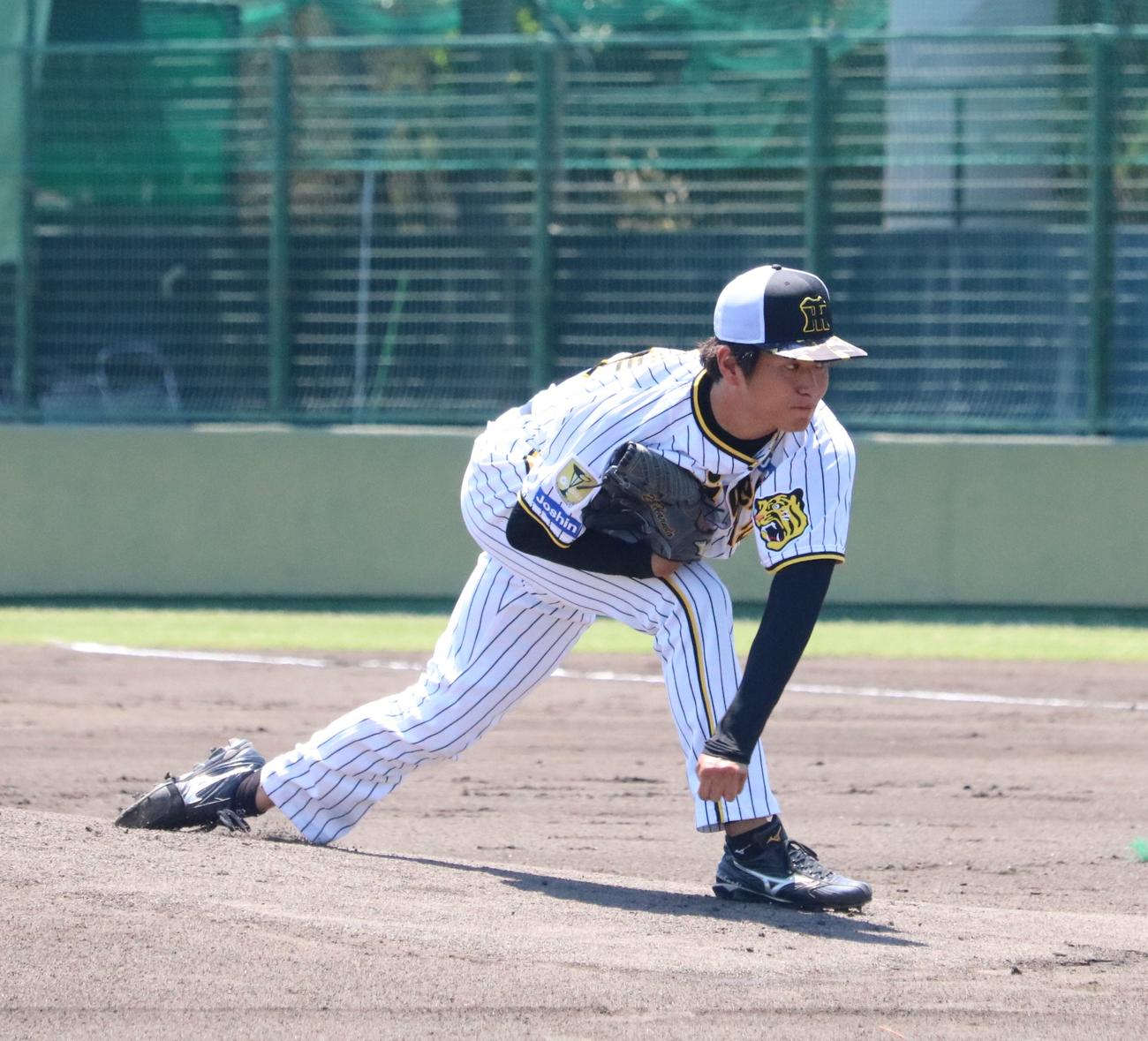 シート打撃に登板した阪神高橋（撮影・林亮佑）