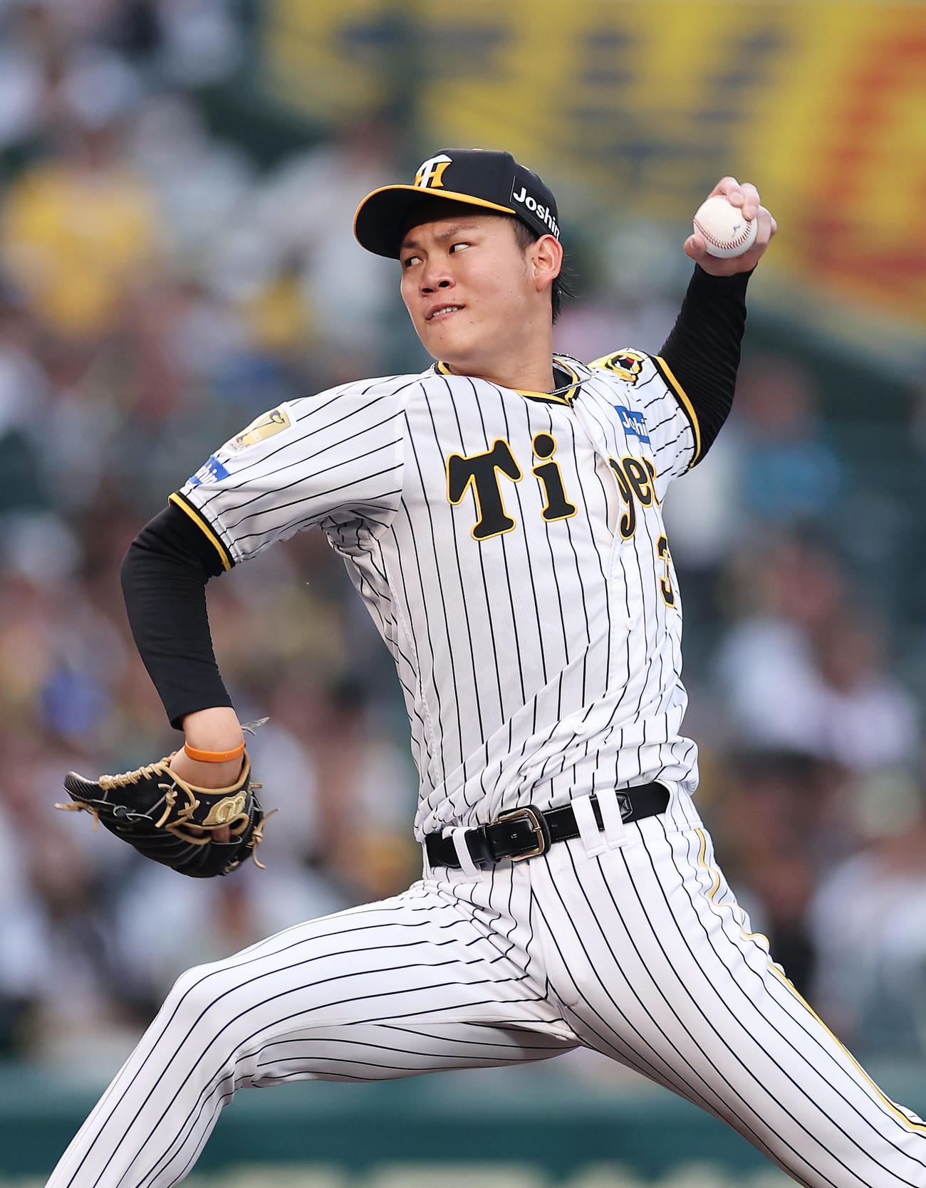 阪神及川雅貴（2024年5月24日撮影）