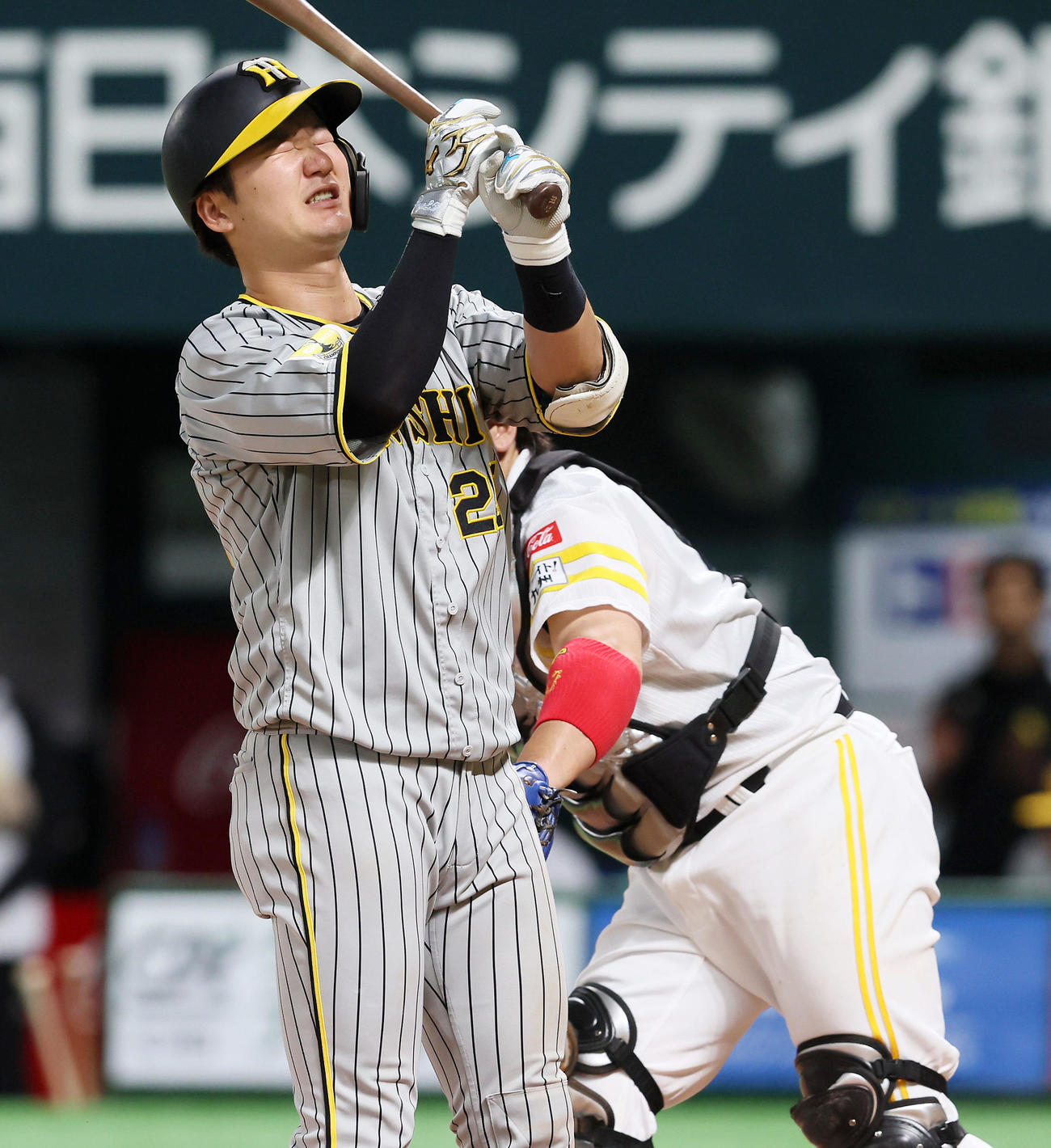 ソフトバンク対阪神　回表阪神2死二塁、三振し悔しそうな渡辺（撮影・加藤哉）