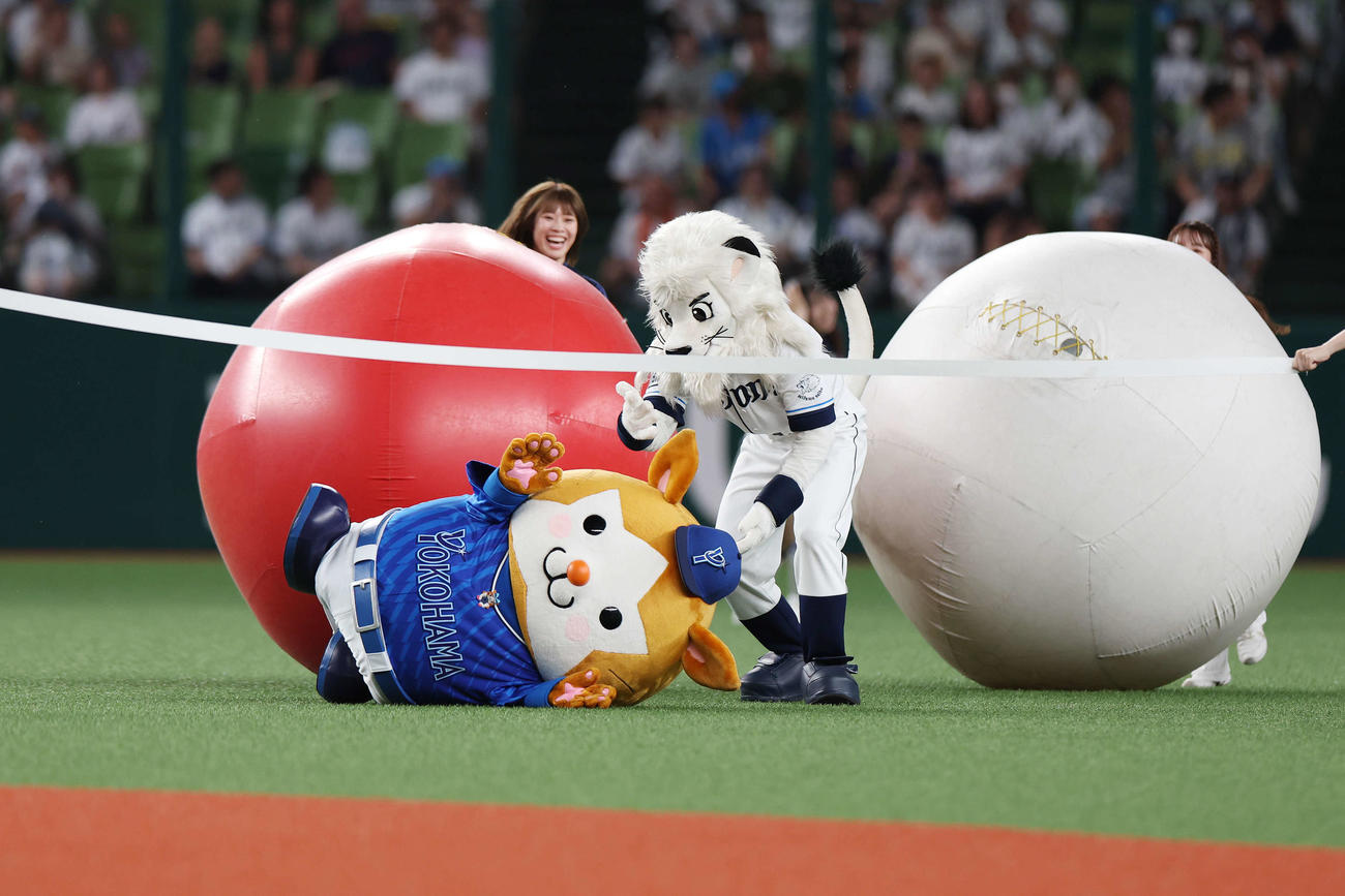 西武対DeNA 5回終わり、大玉転がしでDeNADB．スターマン（左）を転がす西武レオ（撮影・宮地輝）