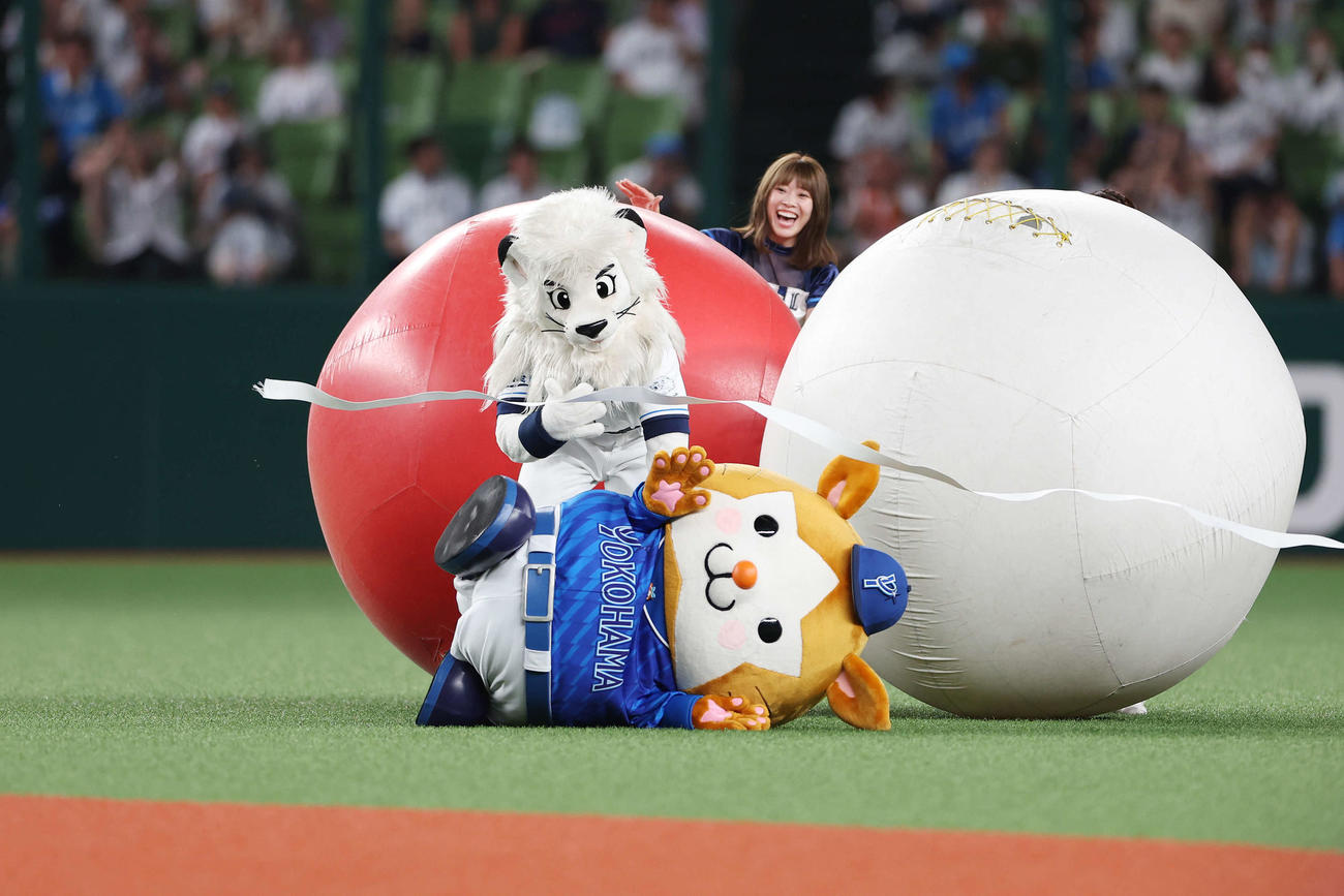 西武対DeNA 5回終わり、大玉転がしでDeNADB．スターマン（手前）を転がす西武レオ（撮影・宮地輝）
