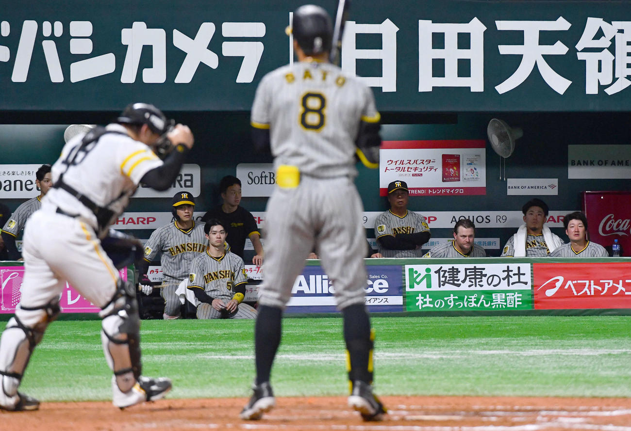 ソフトバンク対阪神　9回表阪神2死一塁、佐藤輝（手前）が空振り三振に倒れて試合終了となり、肩を落とす阪神ナイン（撮影・岩下翔太）