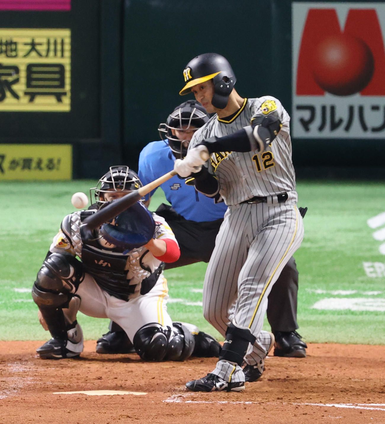 ソフトバンク対阪神　4回表阪神無死、坂本は左前安打を放つ（撮影・梅根麻紀）
