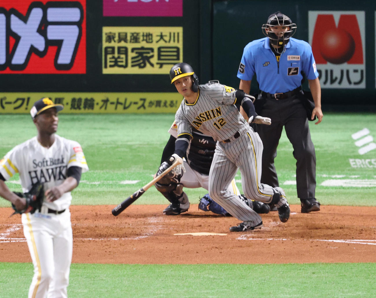 ソフトバンク対阪神　4回表阪神無死、坂本は左前安打を放つ（撮影・梅根麻紀）