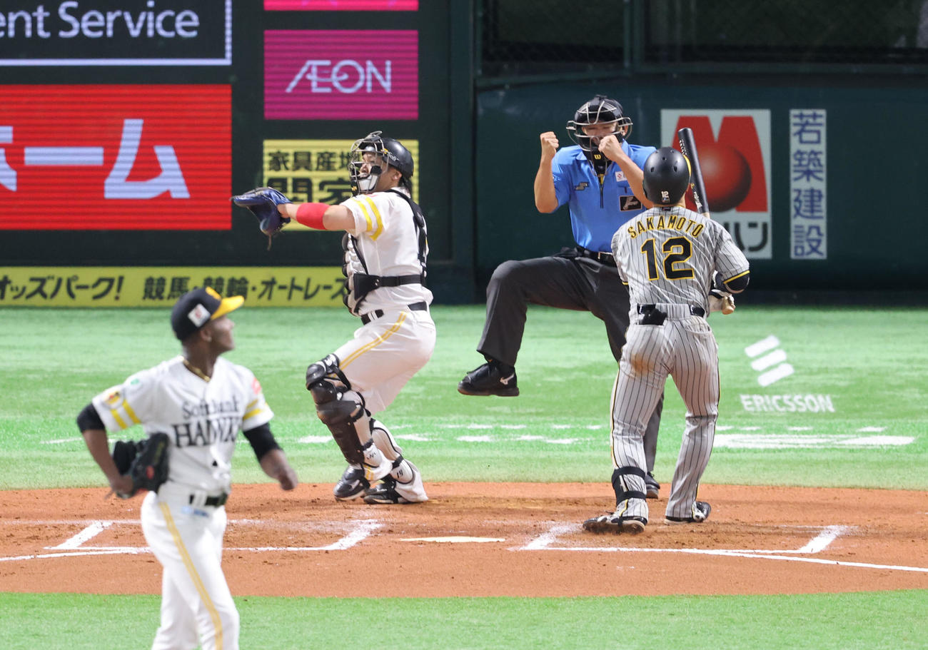 ソフトバンク対阪神　7回表阪神1死、坂本は見逃し三振に倒れる（撮影・梅根麻紀）