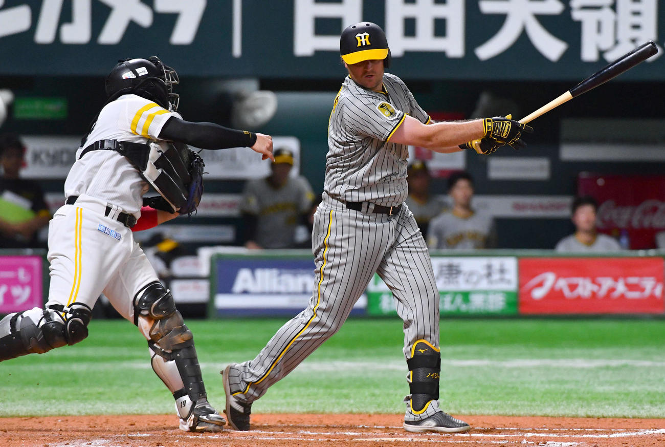 ソフトバンク対阪神　8回表阪神1死一塁、ノイジーが空振り三振に倒れ、二盗を狙った中野も刺され併殺となる（撮影・岩下翔太）