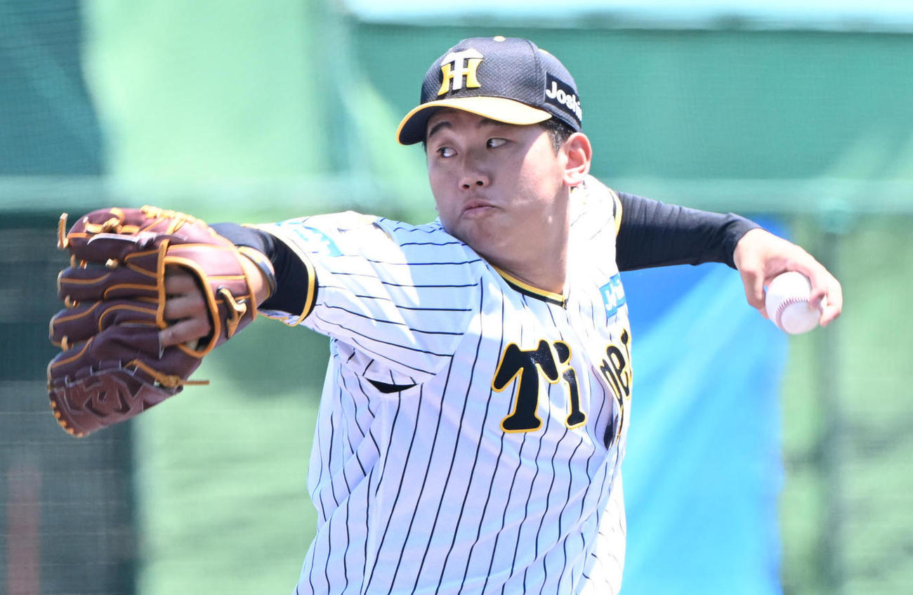 阪神門別啓人（2024年5月25日撮影）