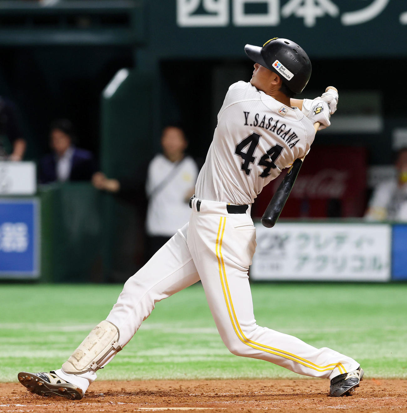 ソフトバンク対阪神　5回裏ソフトバンク無死、笹川は右越えソロ本塁打を放つ（撮影・加藤哉）