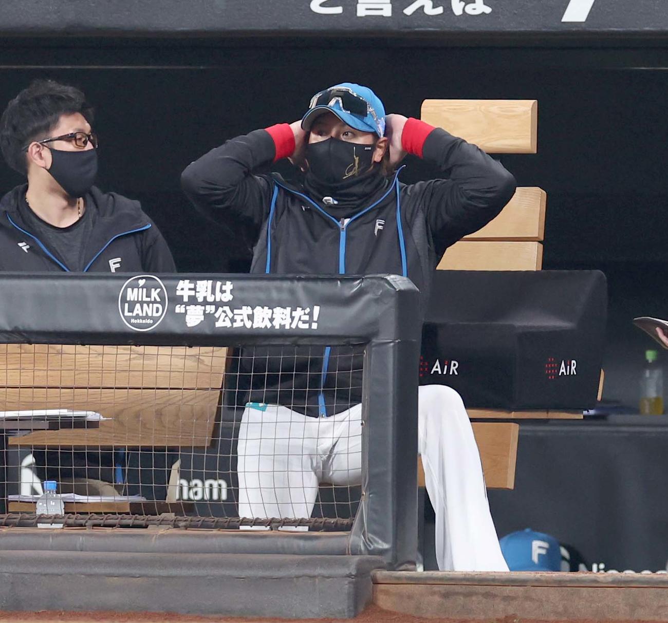 日本ハム対巨人　試合を見つめる新庄監督（撮影・黒川智章）