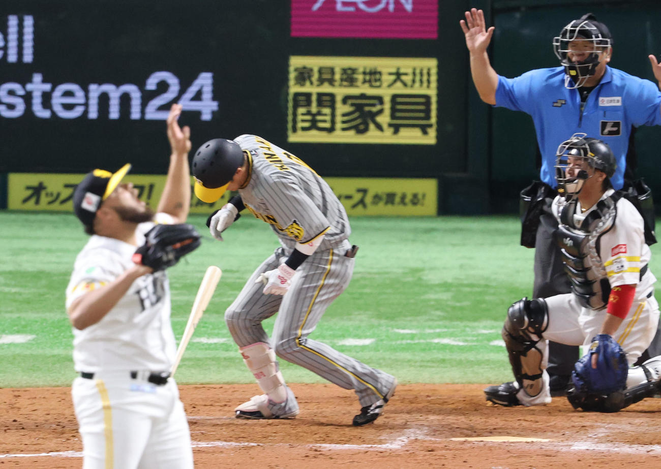 ソフトバンク対阪神　9回表阪神無死、木浪は背中に死球を受け交代（撮影・梅根麻紀）