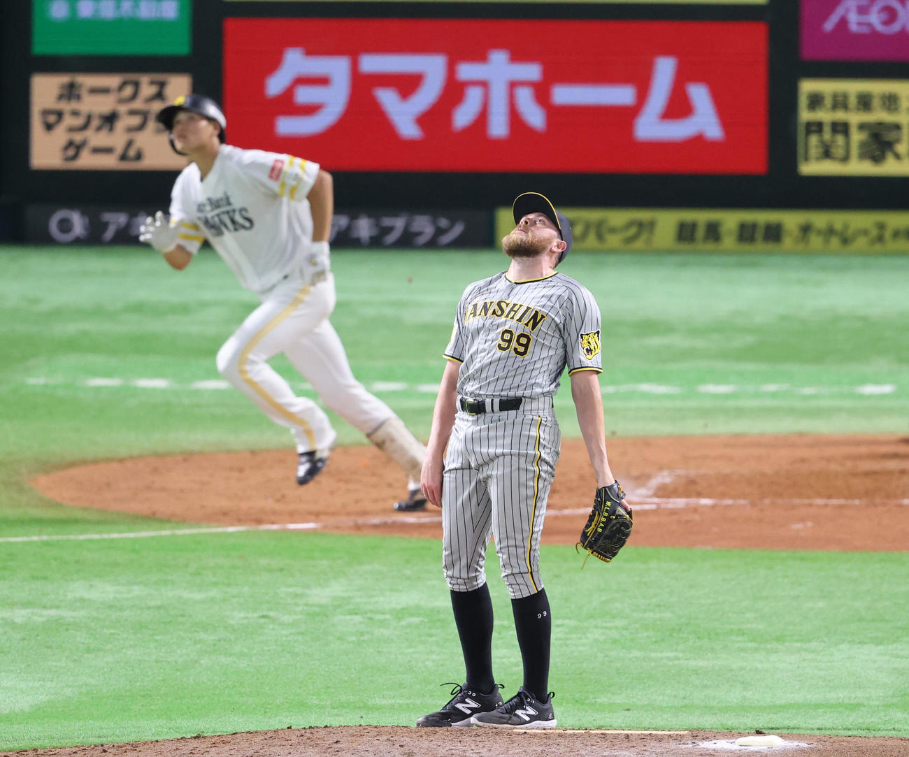 ソフトバンク対阪神　5回裏ソフトバンク無死、笹川に右越え本塁打を浴びたビーズリーはのけぞる（撮影・梅根麻紀）
