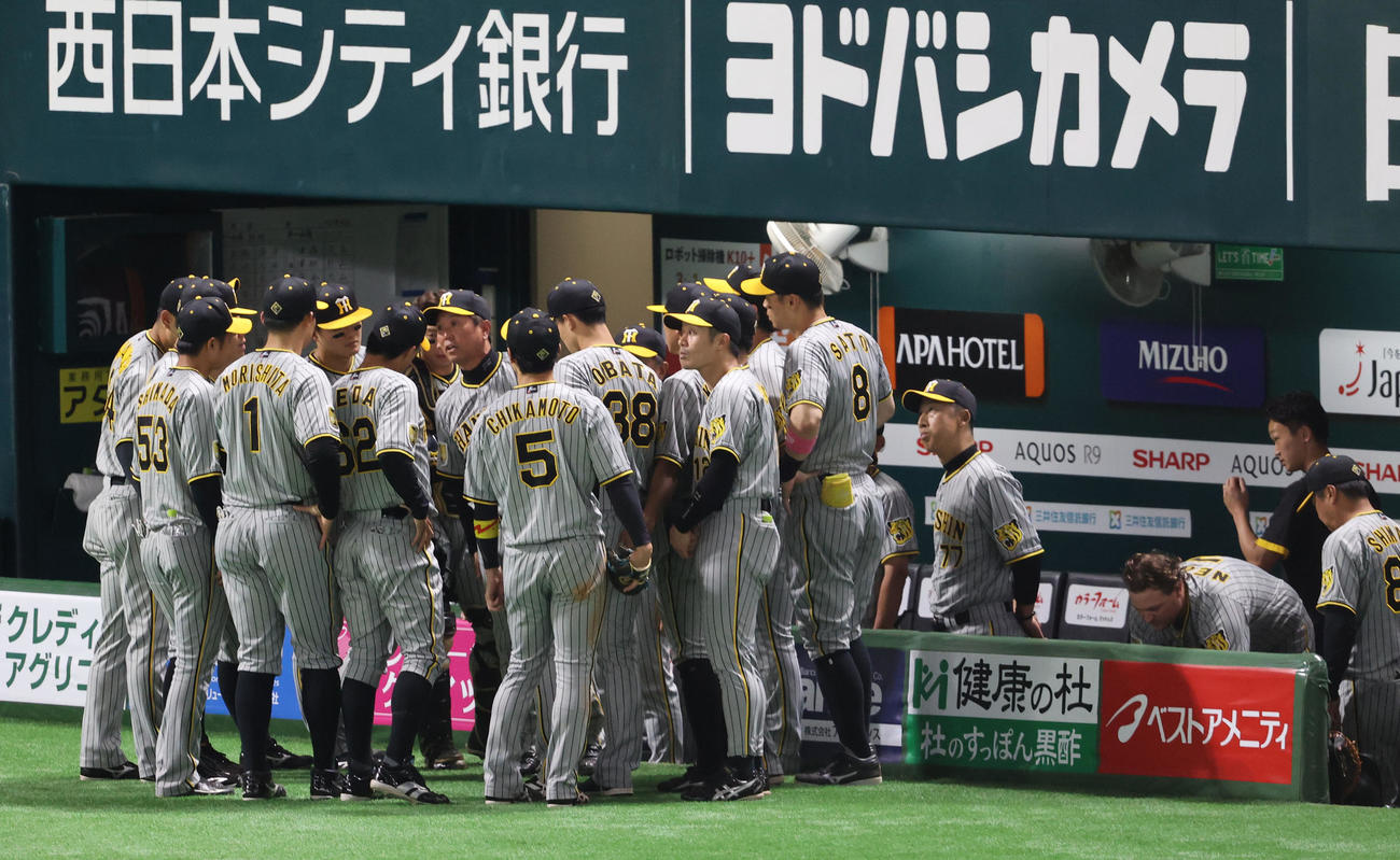 ソフトバンク対阪神　5回の攻撃前、ベンチ前で円陣を組む阪神ナイン（撮影・梅根麻紀）