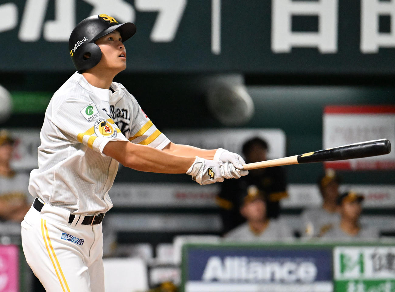 ソフトバンク対阪神　5回裏ソフトバンク無死、笹川は追加点となる本塁打を放つ（撮影・林敢治）