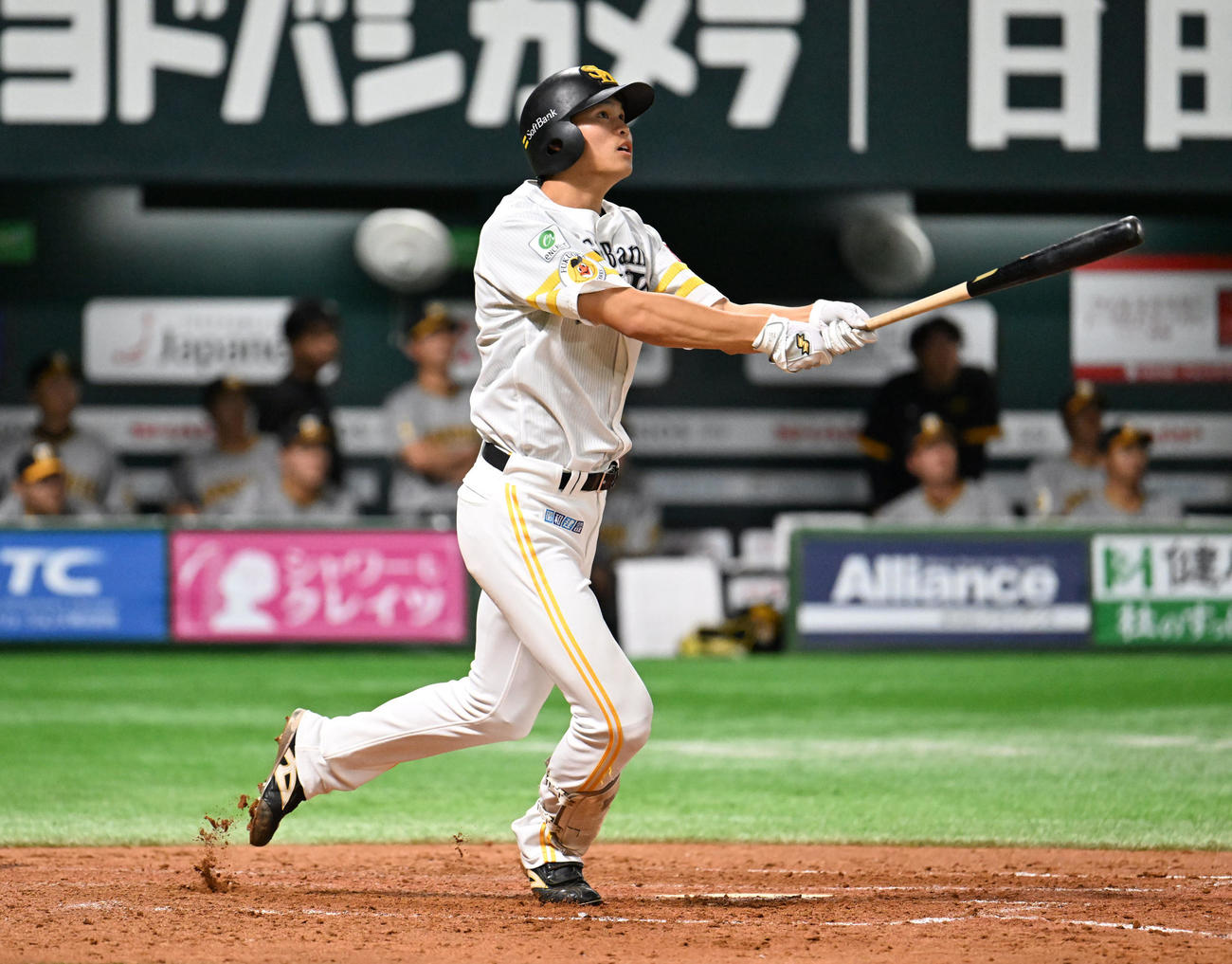 ソフトバンク対阪神　5回裏ソフトバンク無死、笹川は追加点となる本塁打を放つ（撮影・林敢治）