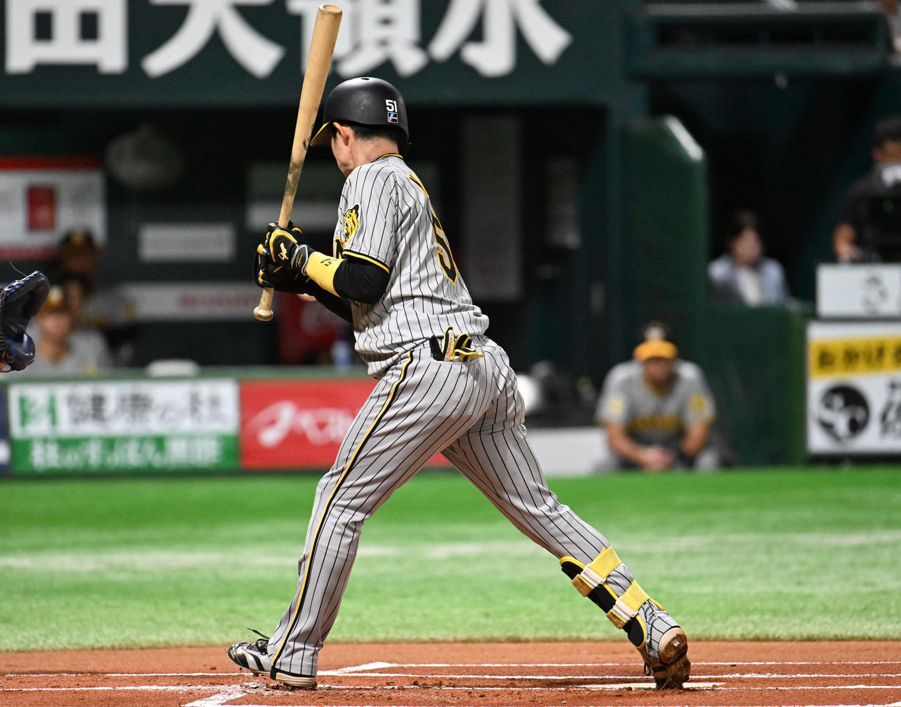 ソフトバンク対阪神　1回表阪神1死、中野は死球を受ける（撮影・林敢治）