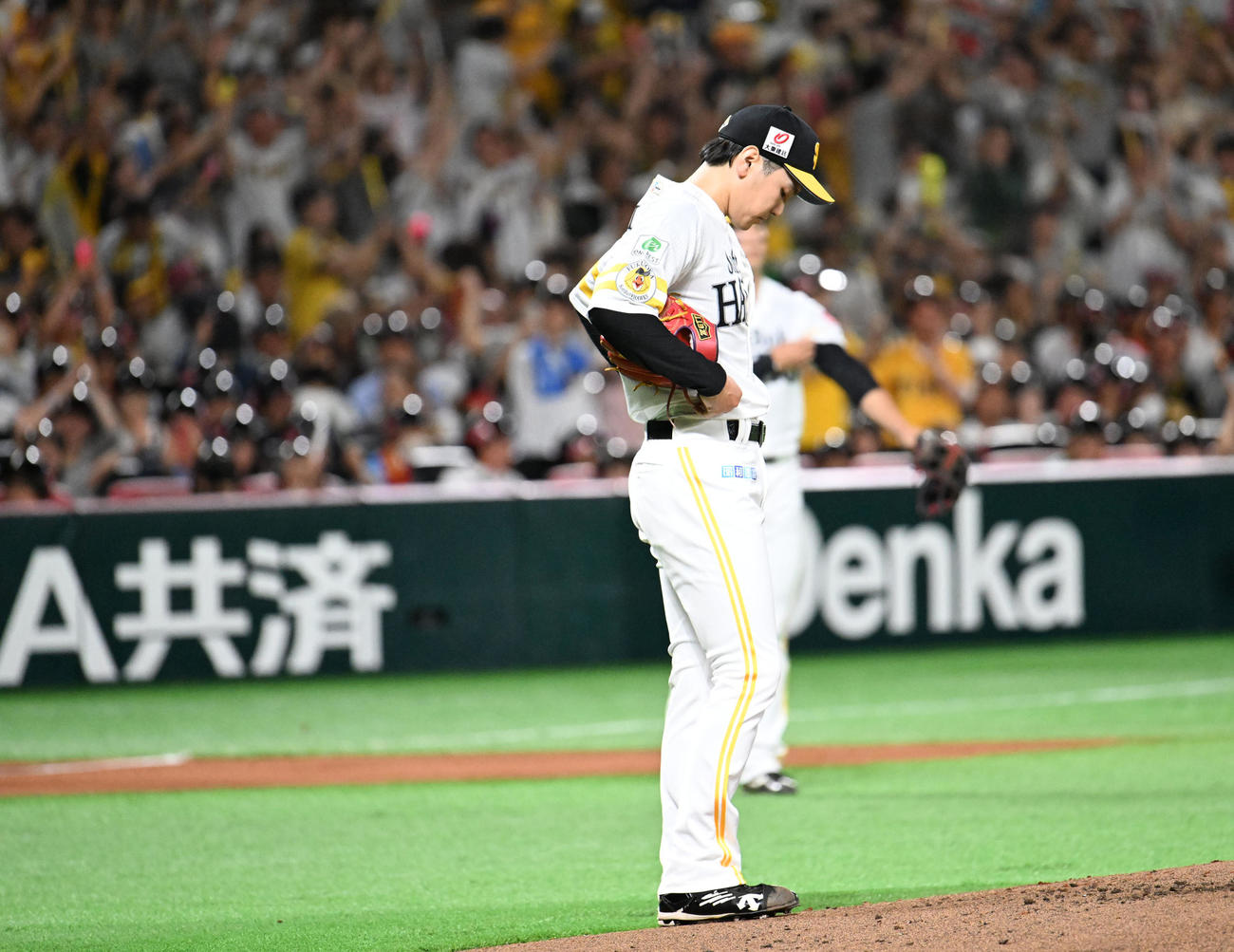 ソフトバンク対阪神　1回表阪神1死満塁、石川は前川の満塁本塁打を被弾する（撮影・林敢治）