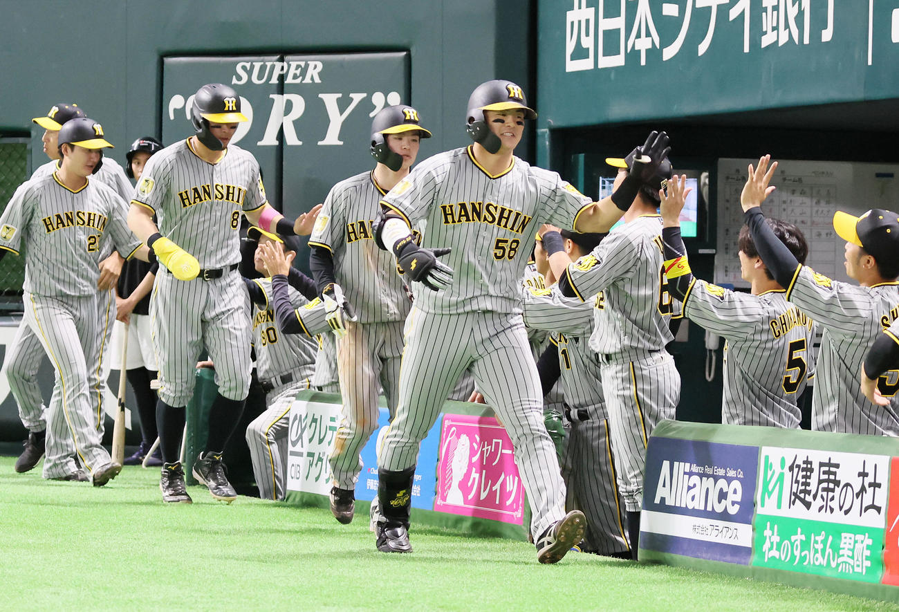 ソフトバンク対阪神　1回表阪神1死満塁、右越え満塁本塁打を放った前川はベンチのナインとタッチする（撮影・加藤哉）
