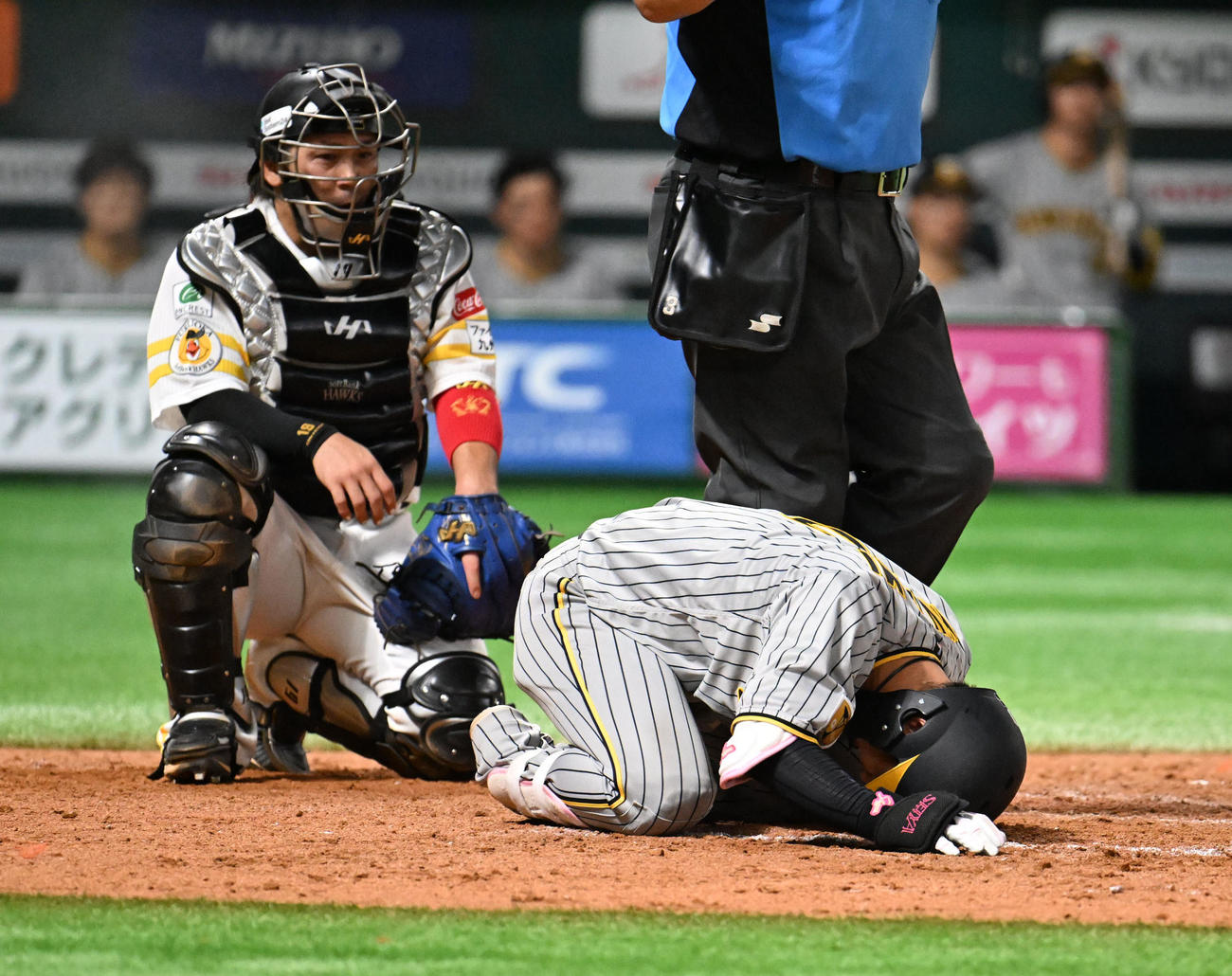 15日、ソフトバンク対阪神　9回表阪神無死、死球を受けた木浪は痛みでうずくまる